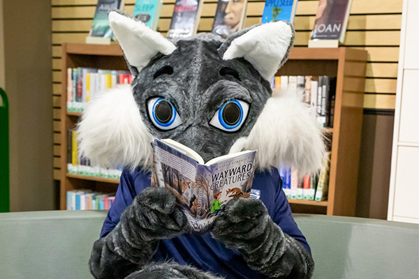 Archie the STLCC mascot reading a book in the library