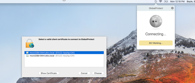 Choose a certificate Certificate Prompt