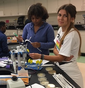 Students participate in SEA-PHAGES program